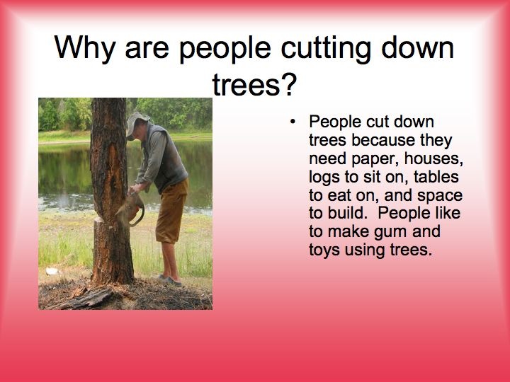 How To Get Trees Cut Down For Free Stop Cutting Down Vector Photo